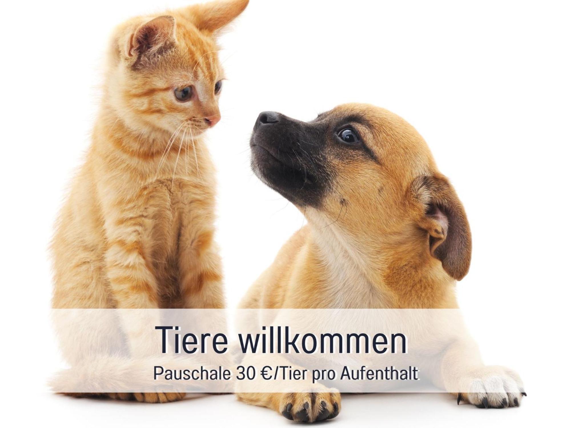 Rosmarin - Kuschelige Fewo - Romantik & Entspannung Im Whirlpool Auf Privater Terrasse, Ruhe & Hund Willkommen - By Ferienwohnenamsee - Uberlingen Exterior photo